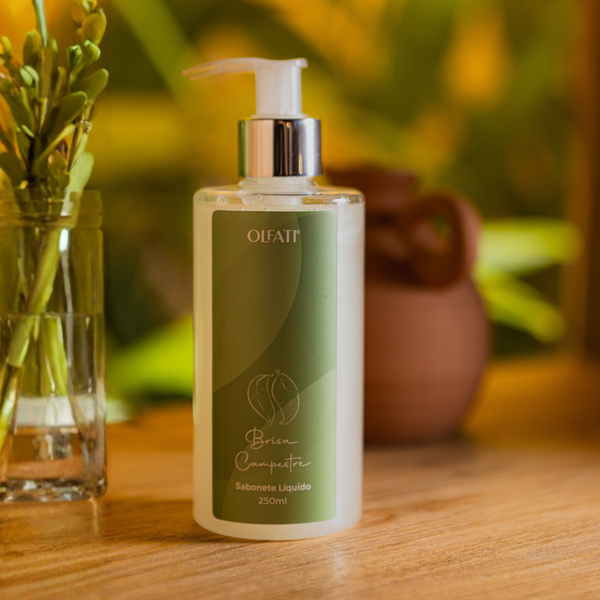 Refil Sabonete Líquido 250ml Brisa Campestre