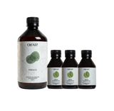 Combo 800ML - Refil para Olfati Master - Brisa Campestre