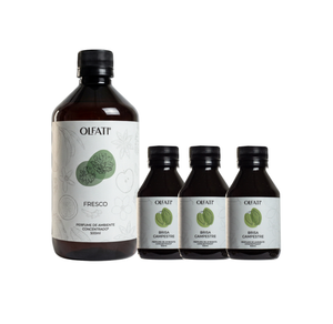 Combo 800ML - Refil para Olfati Master - Brisa Campestre