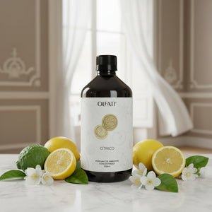 Perfume Concentrado 500ml - Refil para Equipamento - Vento