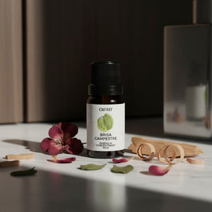 Essência Concentrada 10ml - Brisa Campestre