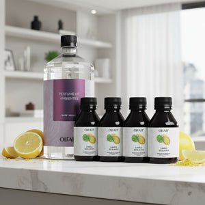 Combo Refil Difusor de Varetas 1L - Maçã e Canela