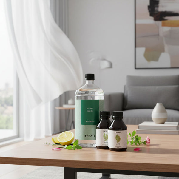 Combo Home Spray 1L - Vento